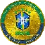 Brazil National Football Team Fan Token