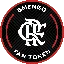 Flamengo Fan Token