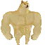 Swole Doge