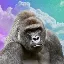 Harambe on Solana