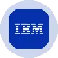 IBM Tokenized Stock (Ondo)