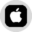 Apple Tokenized Stock (Ondo)