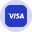 Visa Tokenized Stock (Ondo)