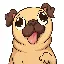 Pug Inu