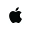 Apple Inc (Derivatives)